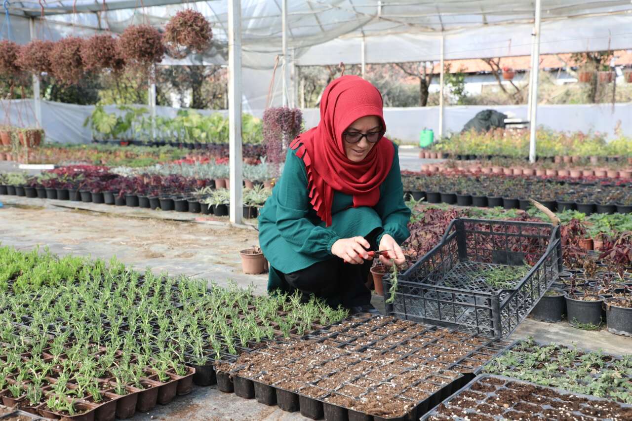 Kadın Emeğiyle 28 Milyon Çiçek: Muğla’da Üretim Büyüyor 1
